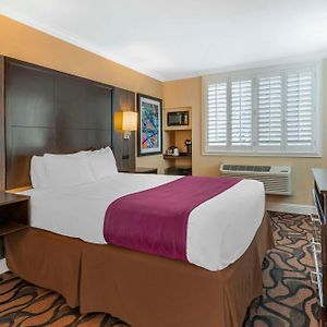 Queen Room Mobility Accessible Roll Shower Non-Smoking